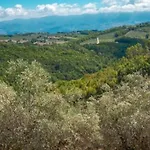 Le Gialle Parco vacanze Gualdo Cattaneo