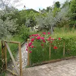 Le Gialle * Gualdo Cattaneo