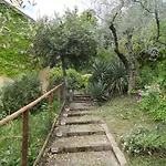 Le Gialle *