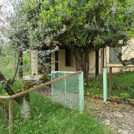 Le Gialle * Gualdo Cattaneo