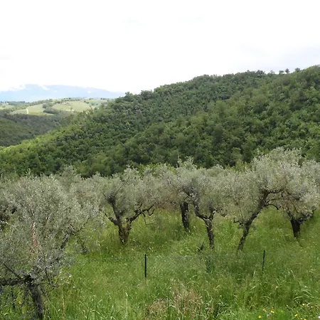 Aldeamento Turístico Le Gialle