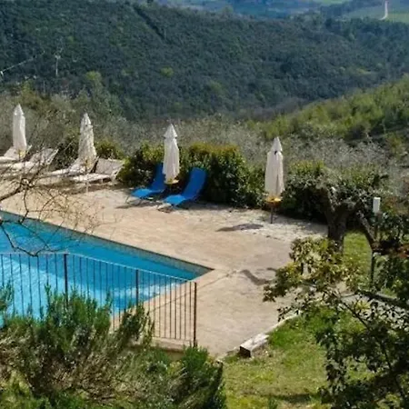 Le Gialle Gualdo Cattaneo