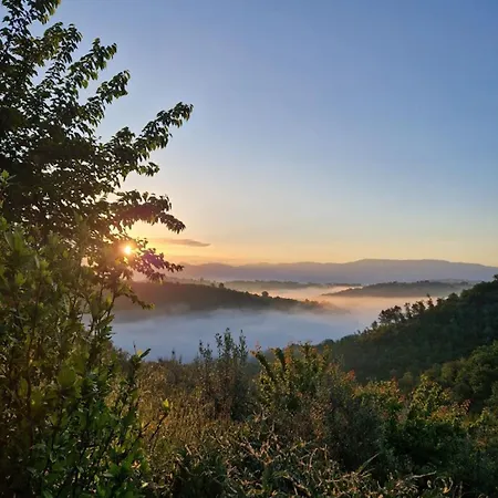 Le Gialle منتزه العطل