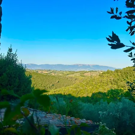 Le Gialle Aldeamento Turístico *