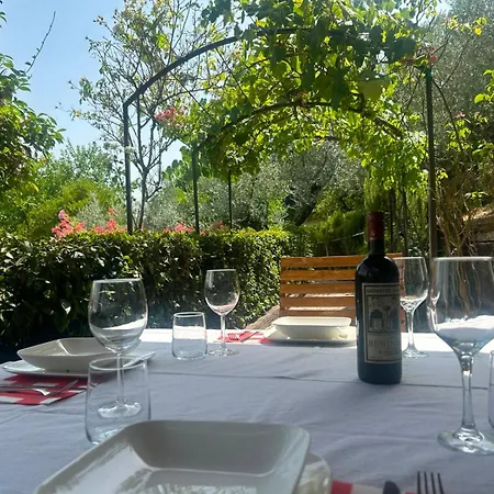 Le Gialle Gualdo Cattaneo