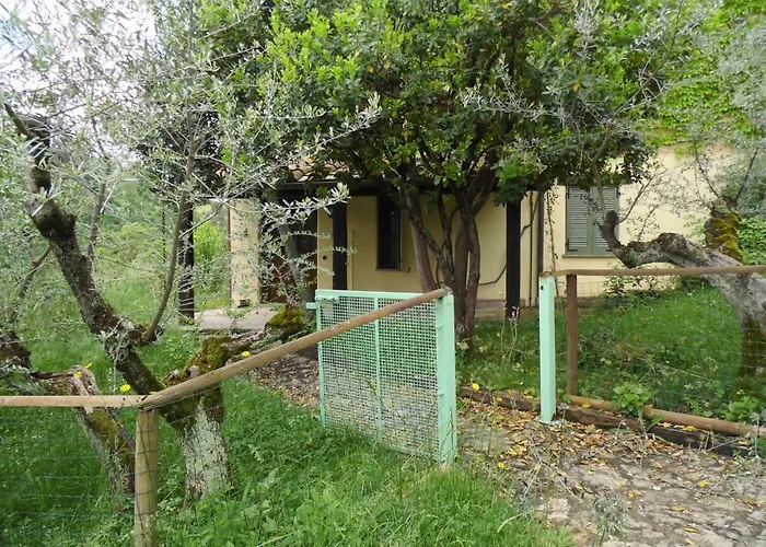 Le Gialle * Gualdo Cattaneo