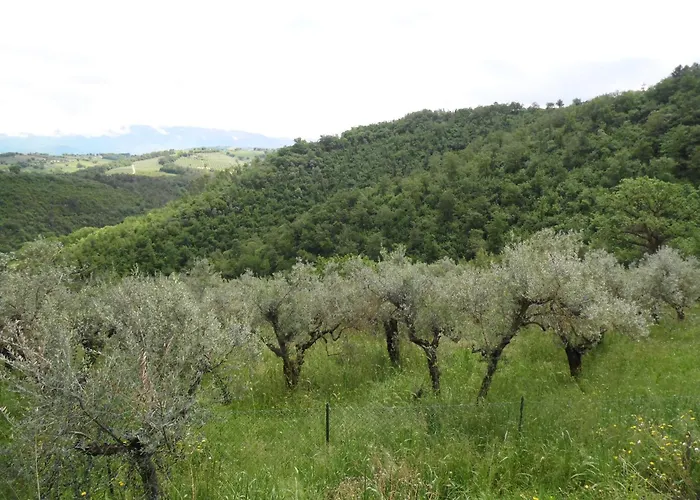 Aldeamento Turístico Le Gialle
