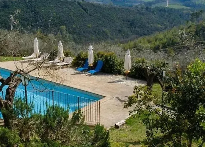 Le Gialle Gualdo Cattaneo